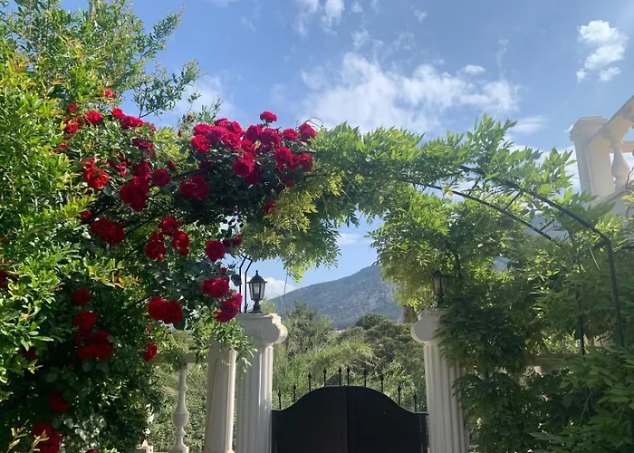 Villa Monte Vı De *