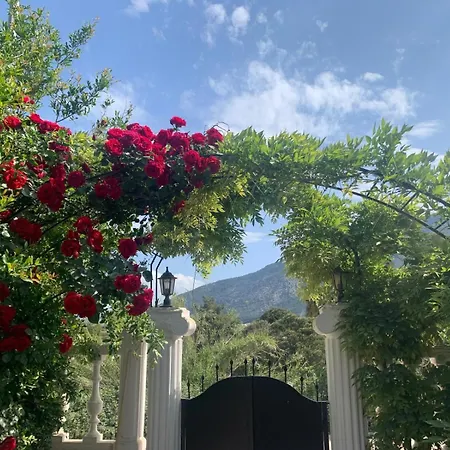 Villa Monte Vı De *